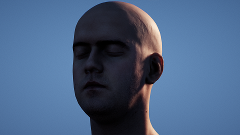 Subsurface Scattering 1